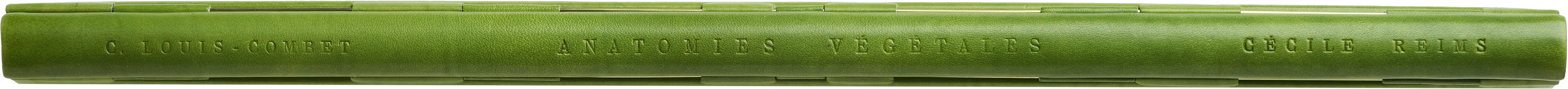 Anatomies Végétales