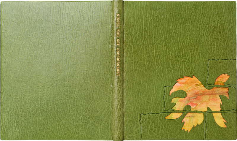 Lebensbilder aus dem Tessin