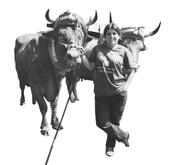 9-Federacion_Arrastre