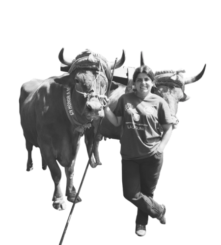 Federación Canaria de Arrastre