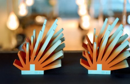 GALA DE PREMIOS AL DEPORTE CANARIO (6) copia