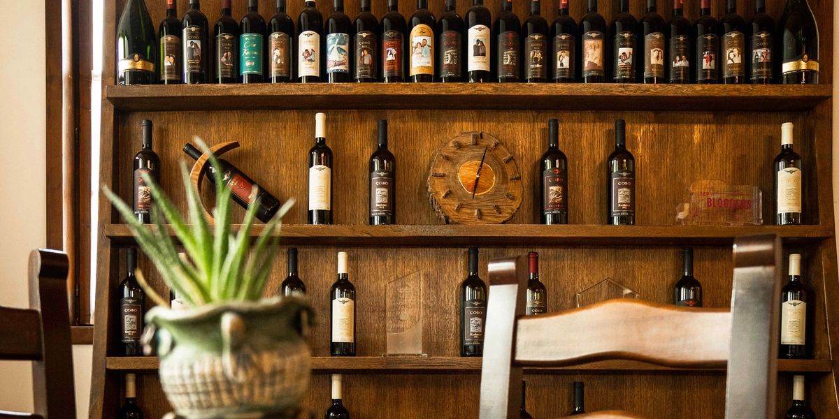 Rows of wine bottles on a tiered wooden display shelf in a rustic dining room, with a potted plant and wooden chairs in the foreground.