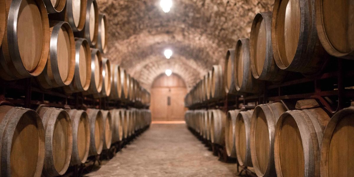 Rows of oak wine barrels lining a stone-arched underground cellar corridor.