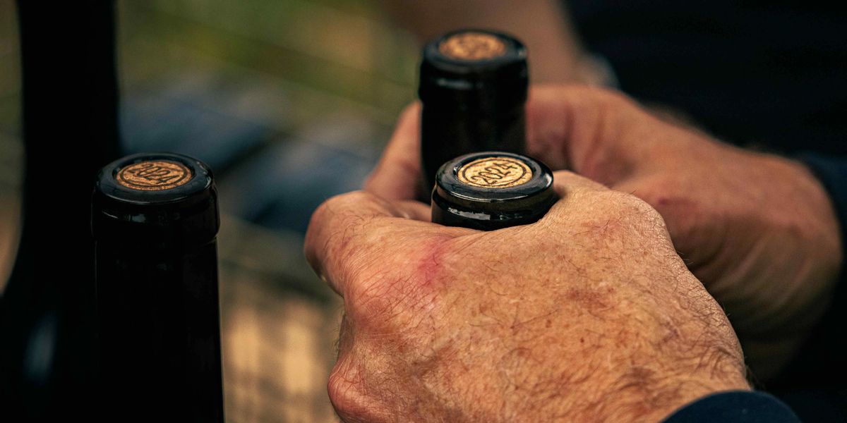 Close-up of a hand gripping three wine bottles by their capsules, one marked with a 2024 vintage.