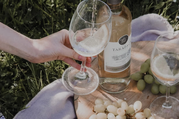 White wine is poured into a wine glass at a picnic.