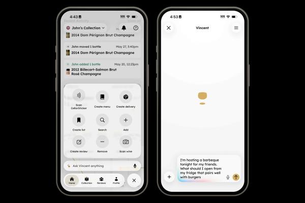 Two iPhone screens showing the InVintory Quick Action menu and a Vincent chat asking for wine pairings for a barbecue.