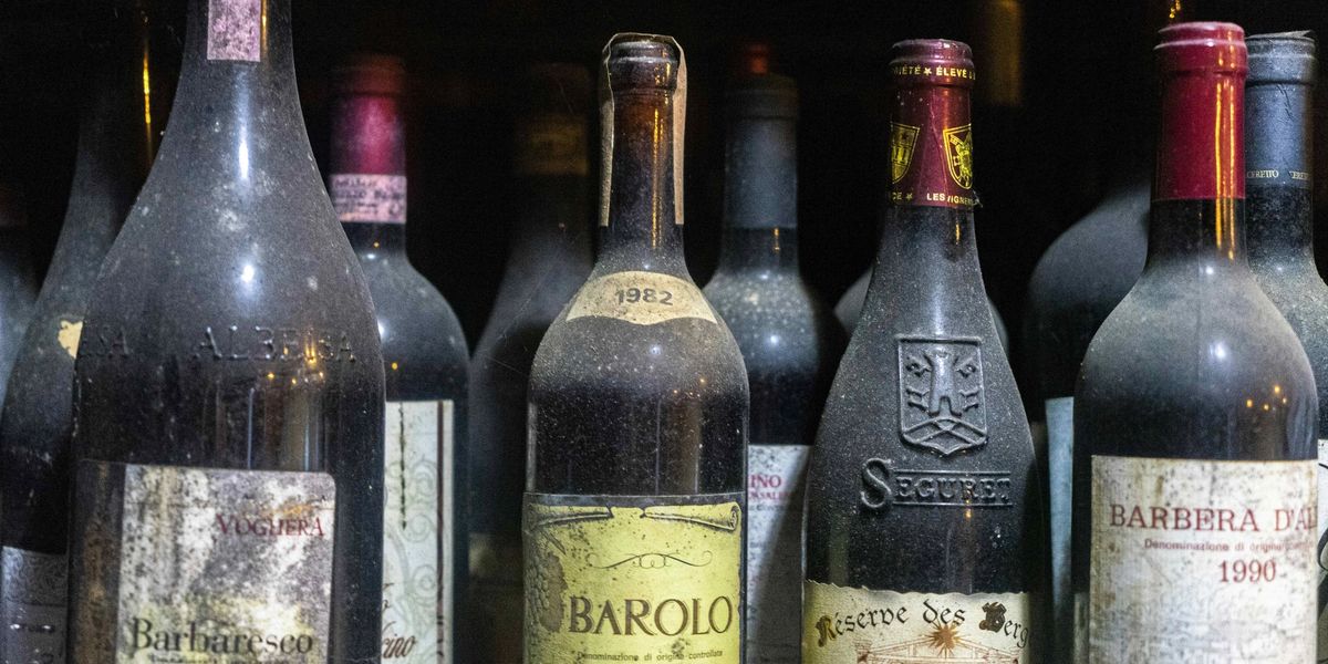 Dusty aged wine bottles including a 1982 Barolo and 1990 Barbera d'Alba with faded cellar labels.
