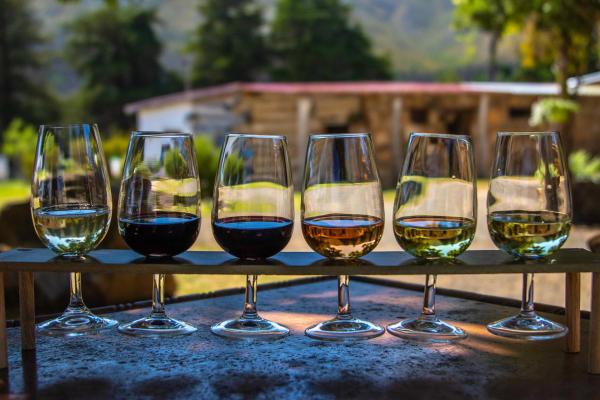 Six wine glasses of varying colors, from white to red, lined up outdoors in evening light.