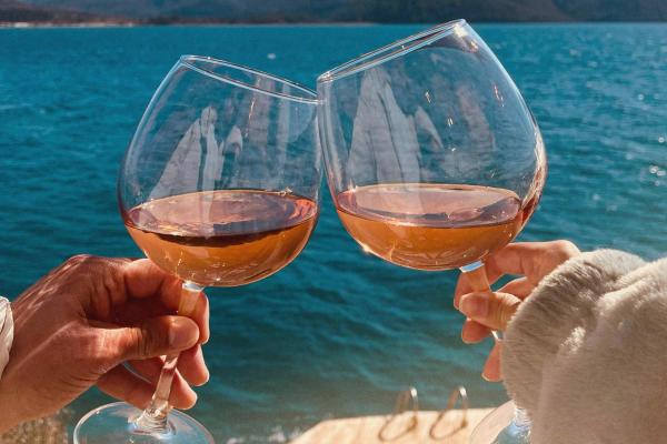 Two people toasting with glasses of rosé wine outdoors by the water on a sunny day.