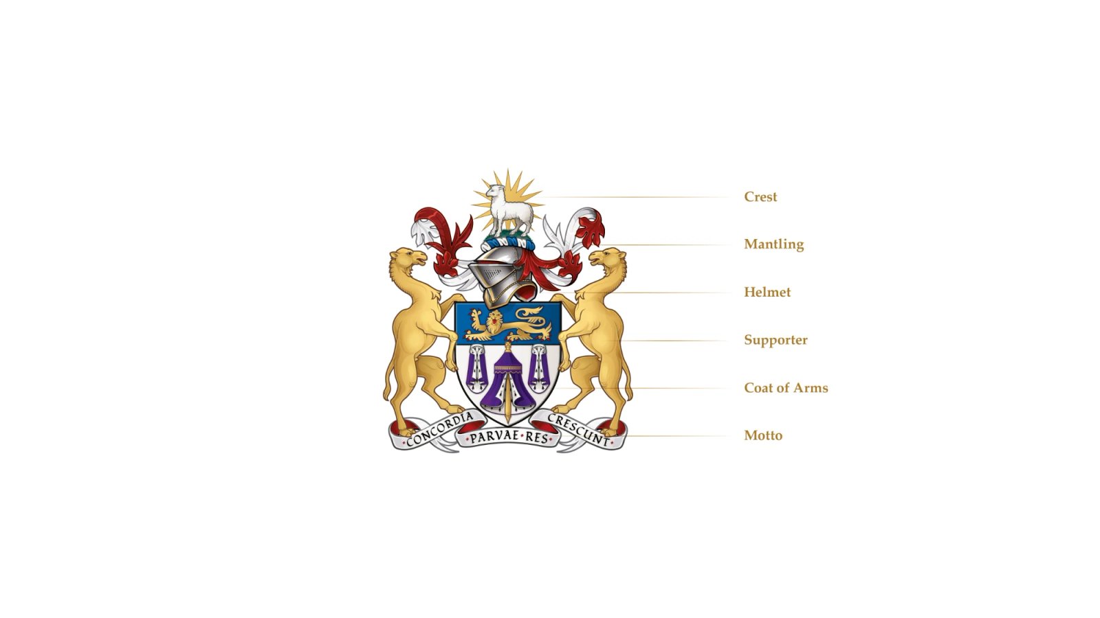 The Merchant Taylors' logo emblem breakdown in full colour