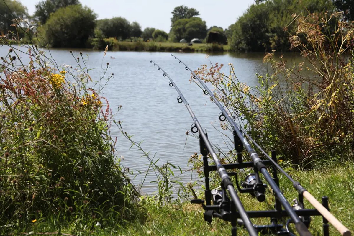 Fishing rods being cast into a lake at Willinghurst Estate