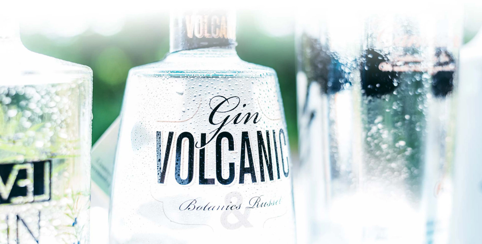 Volcanic Gin glasses with condensation
