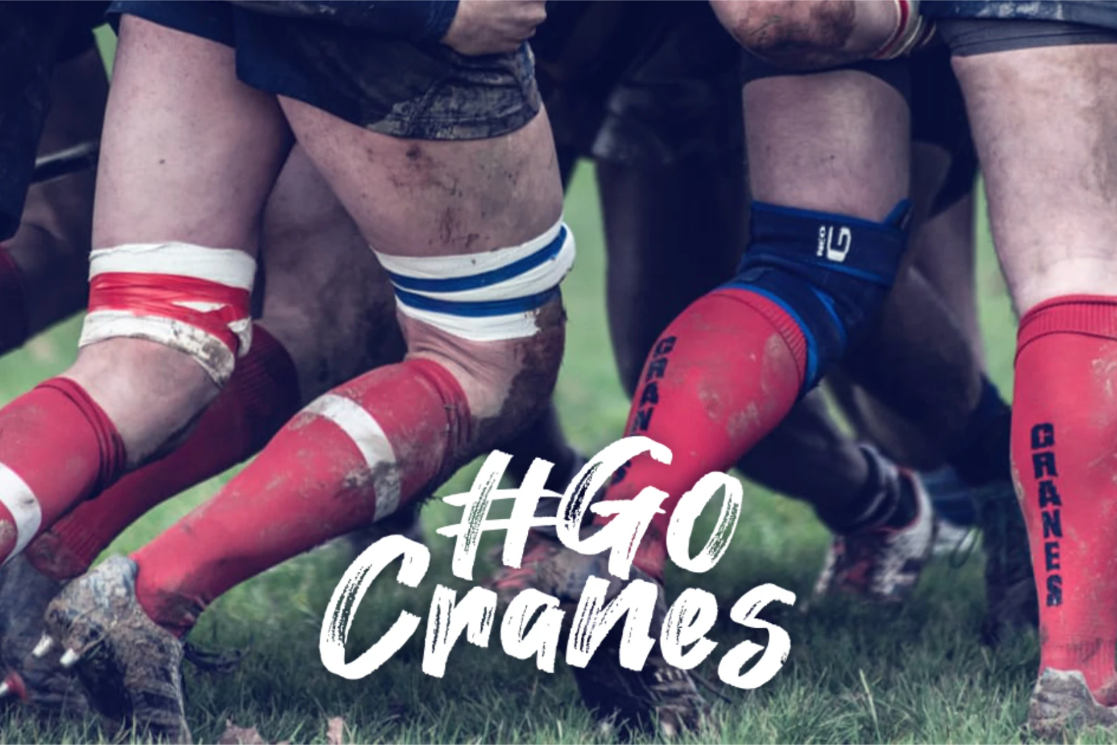 Close-up of muddy players' legs locked together in a rugby scrum, with '#GoCranes' text overlay