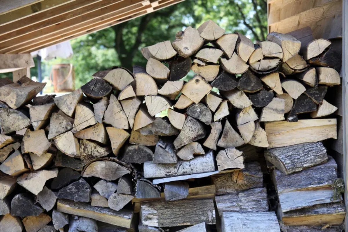 Logs in a log store
