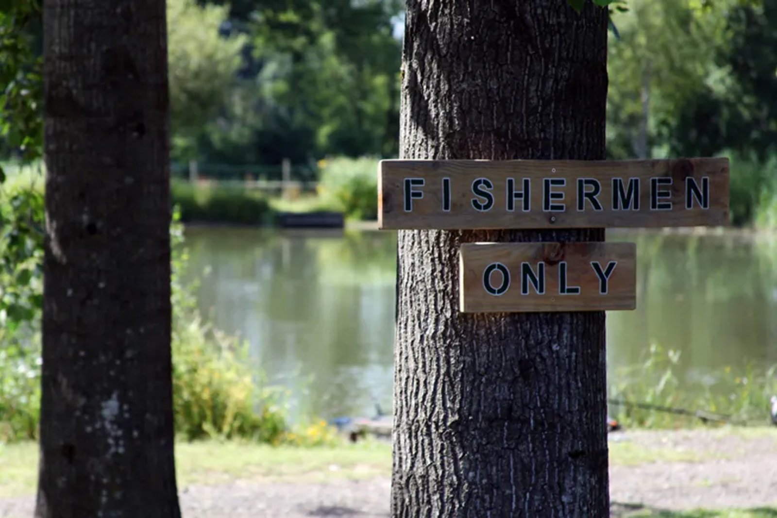 A wooden sign nailed to a tree in front of a lake that says Fishermen only