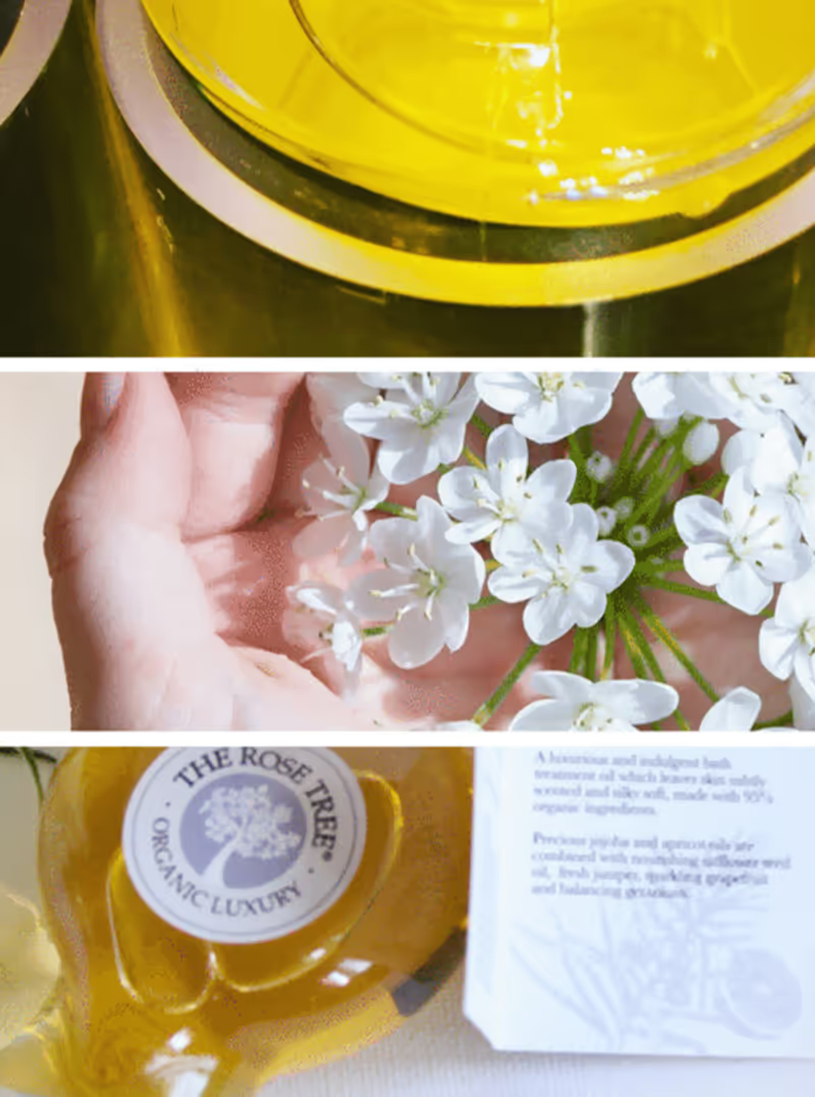 A grid of images of flowers and the products used to create fragrances