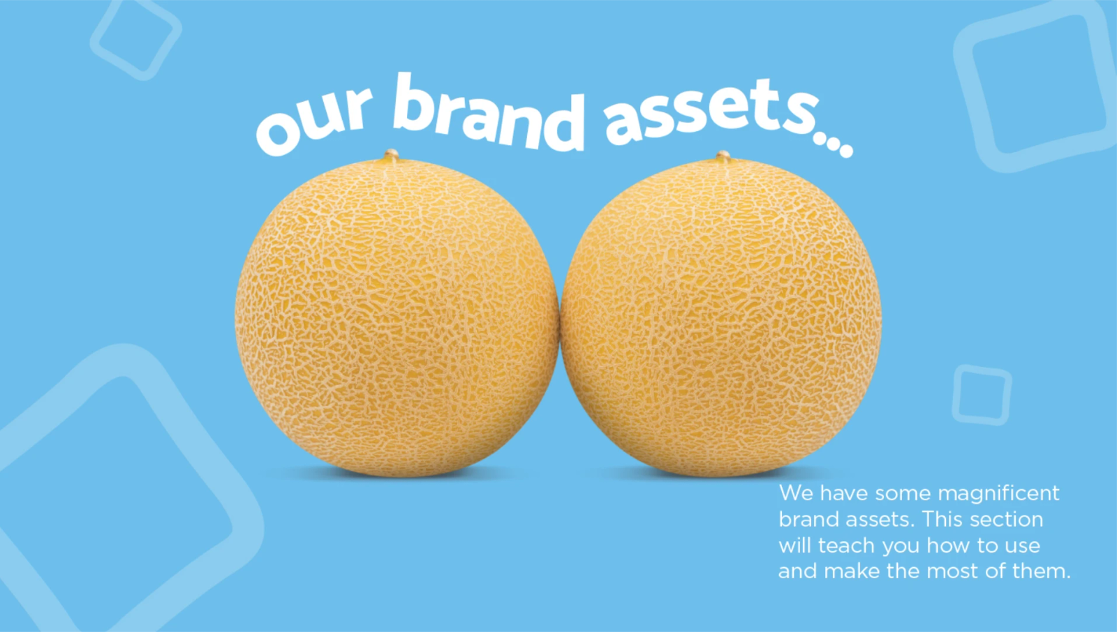 Two cantaloupe melons side by side on a blue background with the text 'our brand assets'