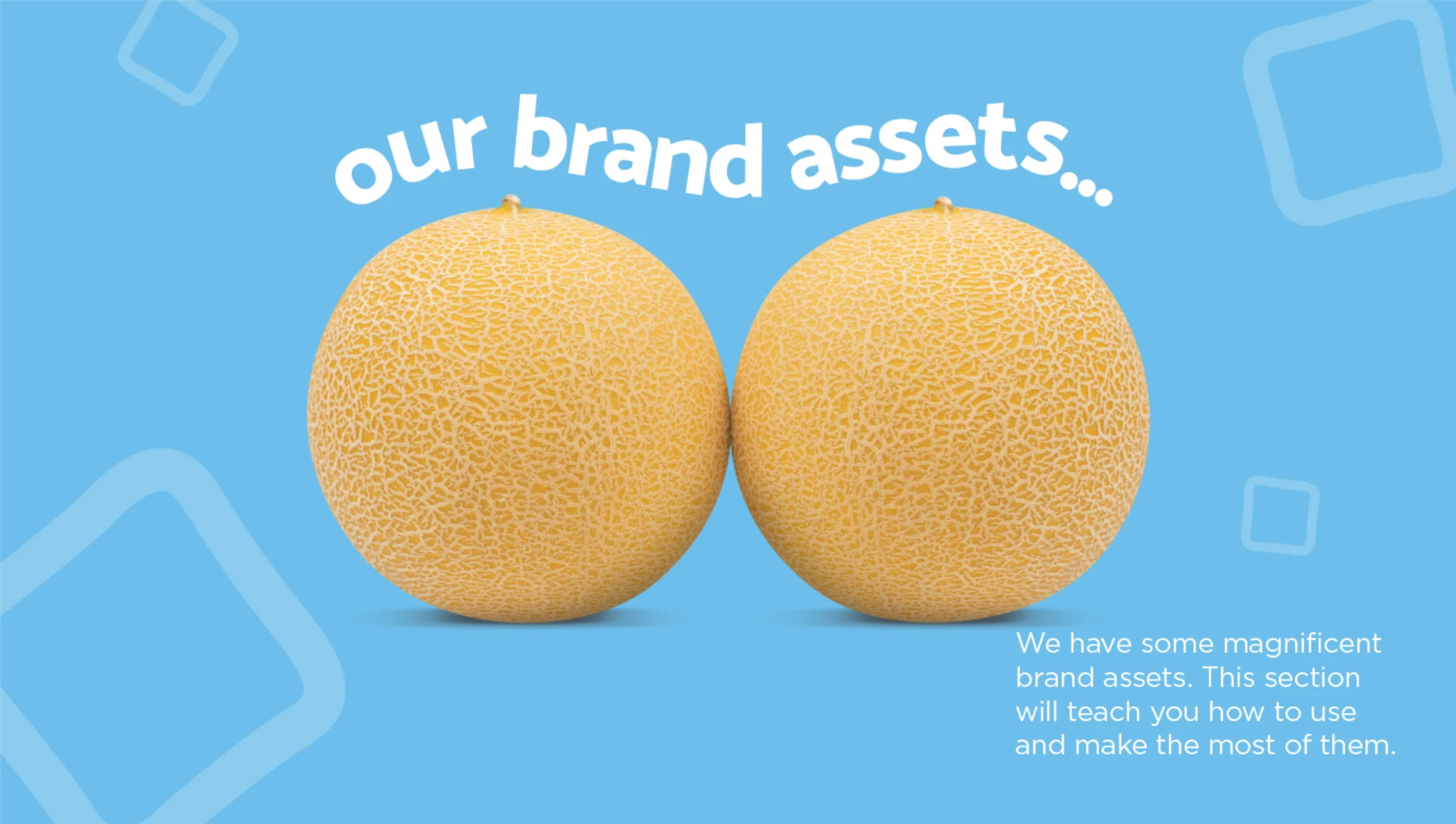Two cantaloupe melons side by side on a blue background with the text 'our brand assets'