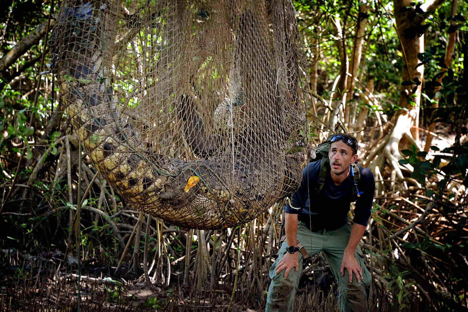 A man with a crocodile in a net in front of him