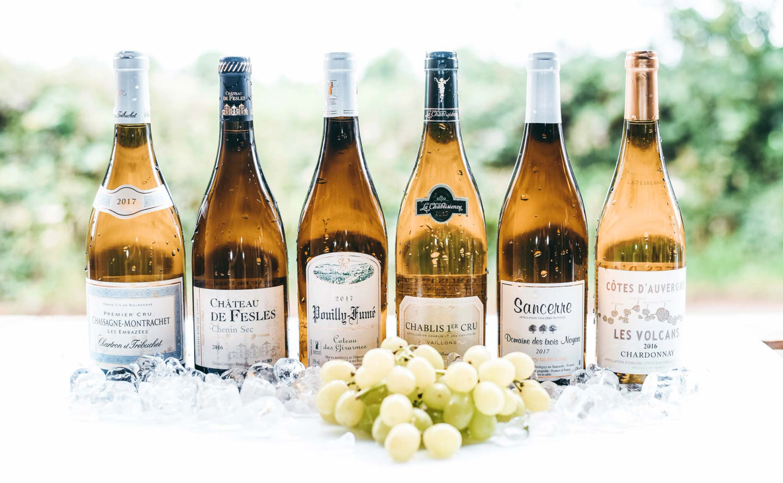 Bottles of wine surrounded by ice and grapes