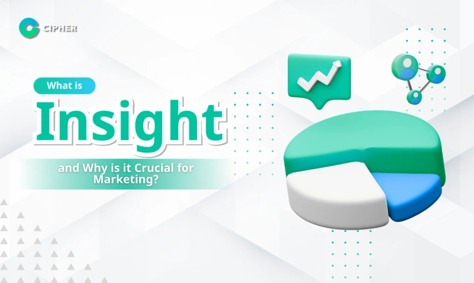 What is Insight and Why is it Crucial for Marketing?