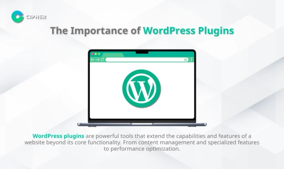 Step-by-Step WordPress Plugin Development Process
