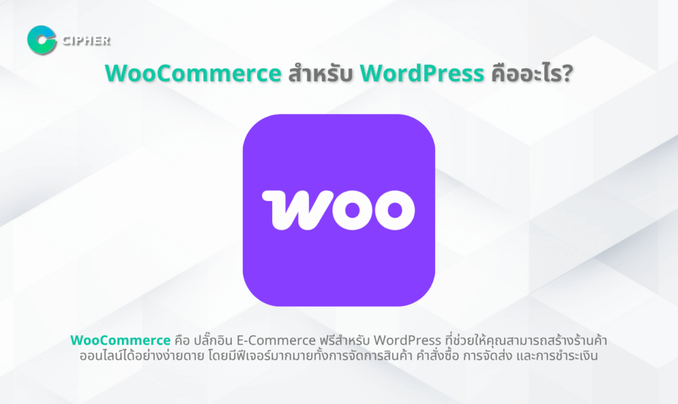 รับทำ WordPress Plugin รองรับ WooCommerce: เพิ่มฟีเจอร์ให้ร้านค้าออนไลน์