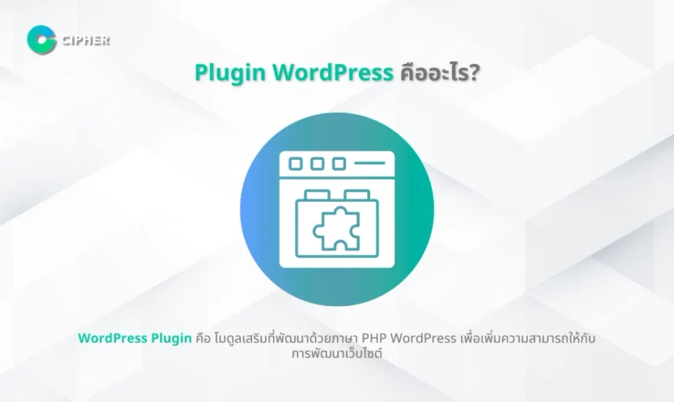 การพัฒนา WordPress Plugin สำหรับธุรกิจเฉพาะทาง - WordPress Plugin คืออะไร?