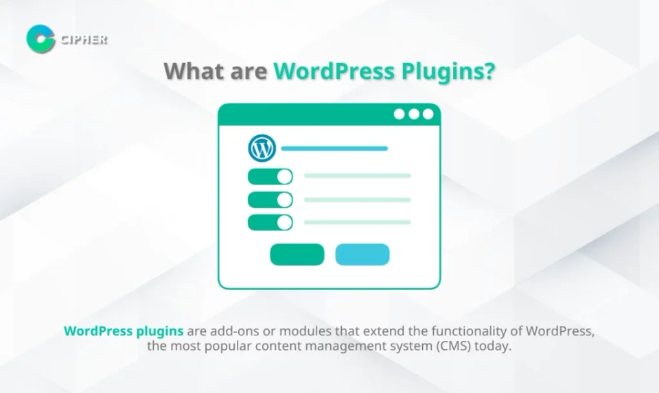 Custom WordPress Plugins - What are WordPress Plugins?