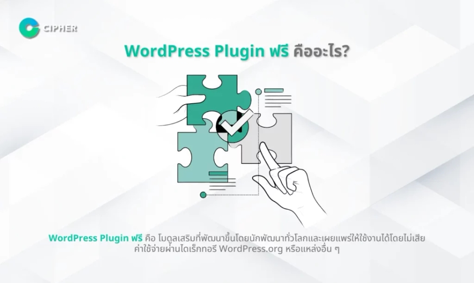 WordPress Plugin ฟรี VS Plugin แบบ Custom - WordPress Plugin ฟรี คืออะไร?