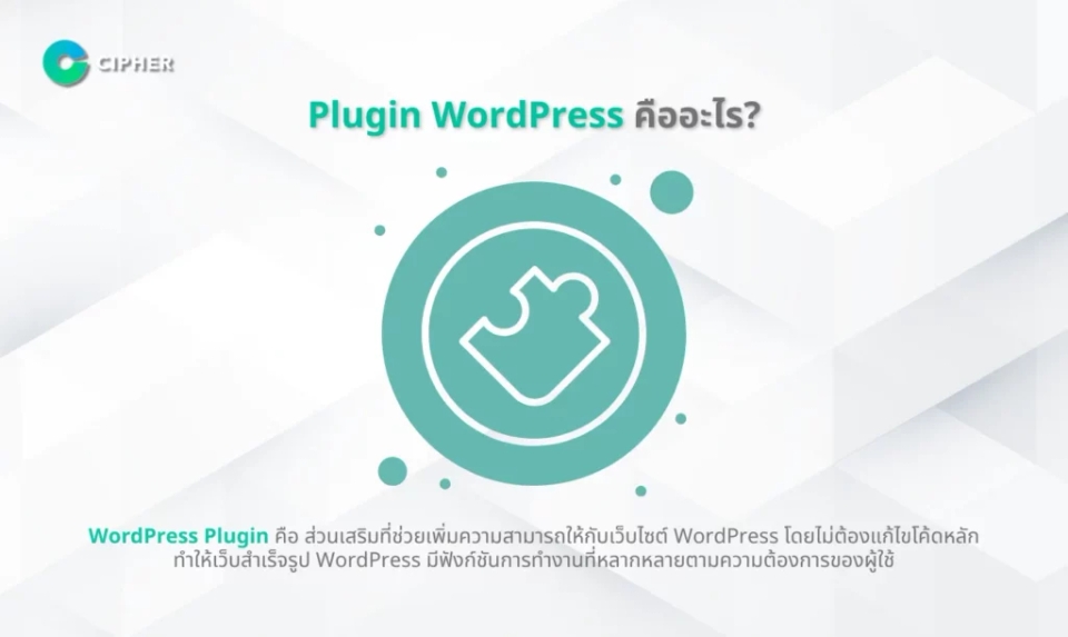 วิธีเลือกบริษัทรับทำ WordPress Plugin หรือฟรีแลนซ์ - WordPress Plugin คืออะไร?