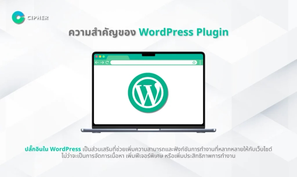 กระบวนการพัฒนา WordPress Plugin ความ - สำคัญของ WordPress Plugin