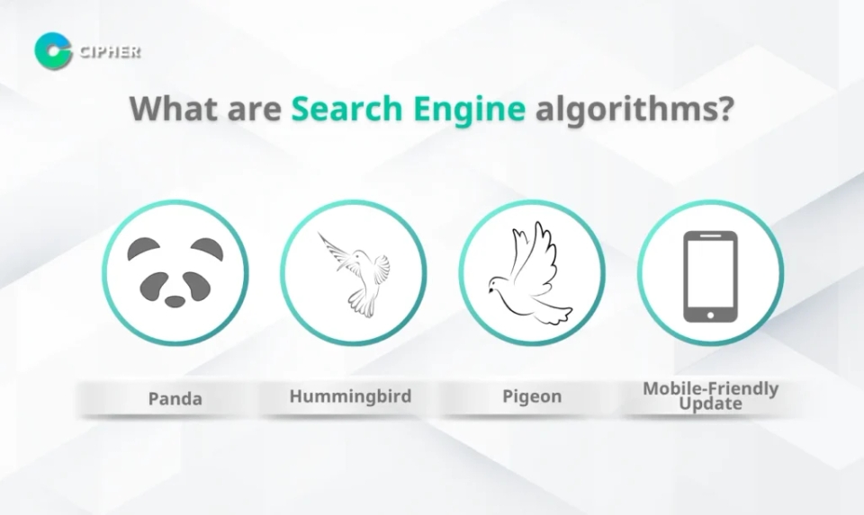 What are Search Engine algorithms?