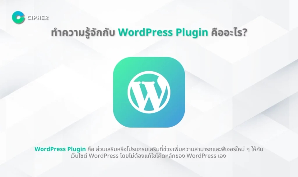 สิ่งที่ต้องมีใน WordPress Plugin - WordPress Plugin คืออะไร?