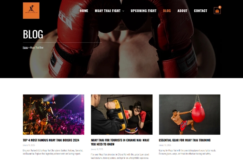 Chiang Mai Muay Thai Fight