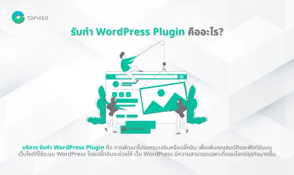 รับทำ WordPress Plugin คืออะไร?