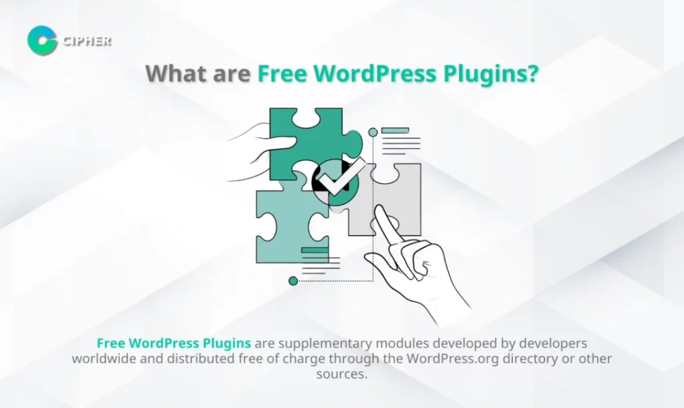WordPress Plugin Free VS Custom - What are Free WordPress Plugins?