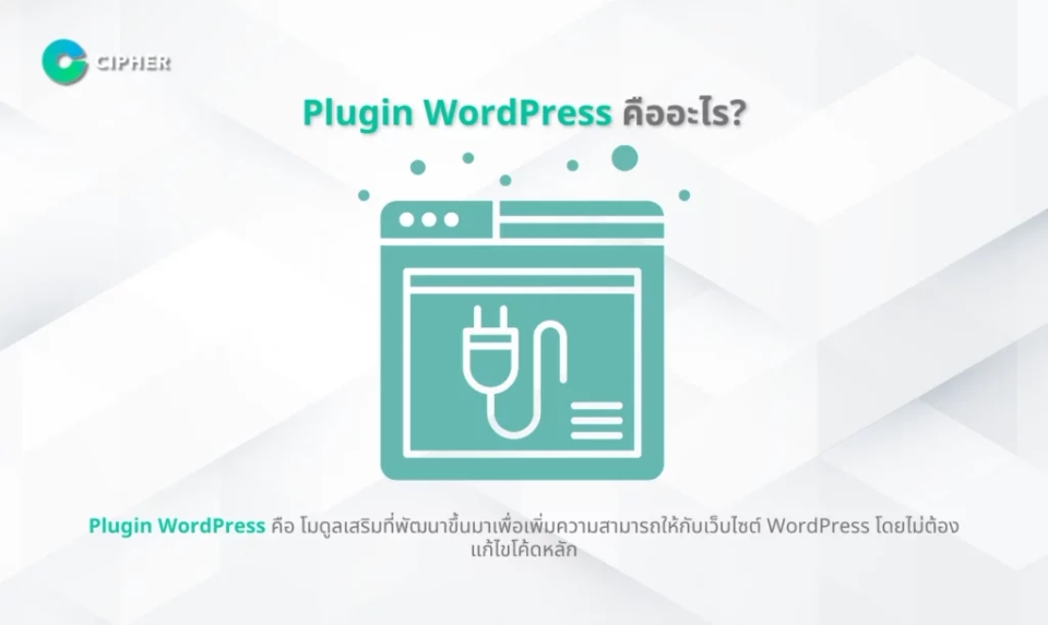รับทำ WordPress Plugin สำหรับ SEO - Plugin WordPress คืออะไร?
