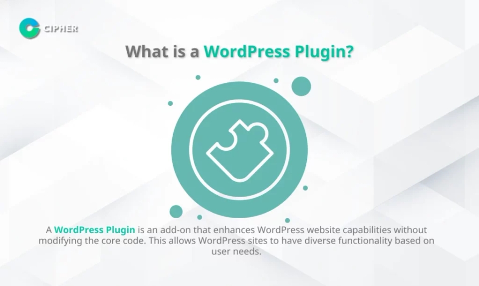 WordPress Plugin Developers - What is a WordPress Plugin?