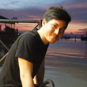 วสันต์ เดชวิเศษไกร