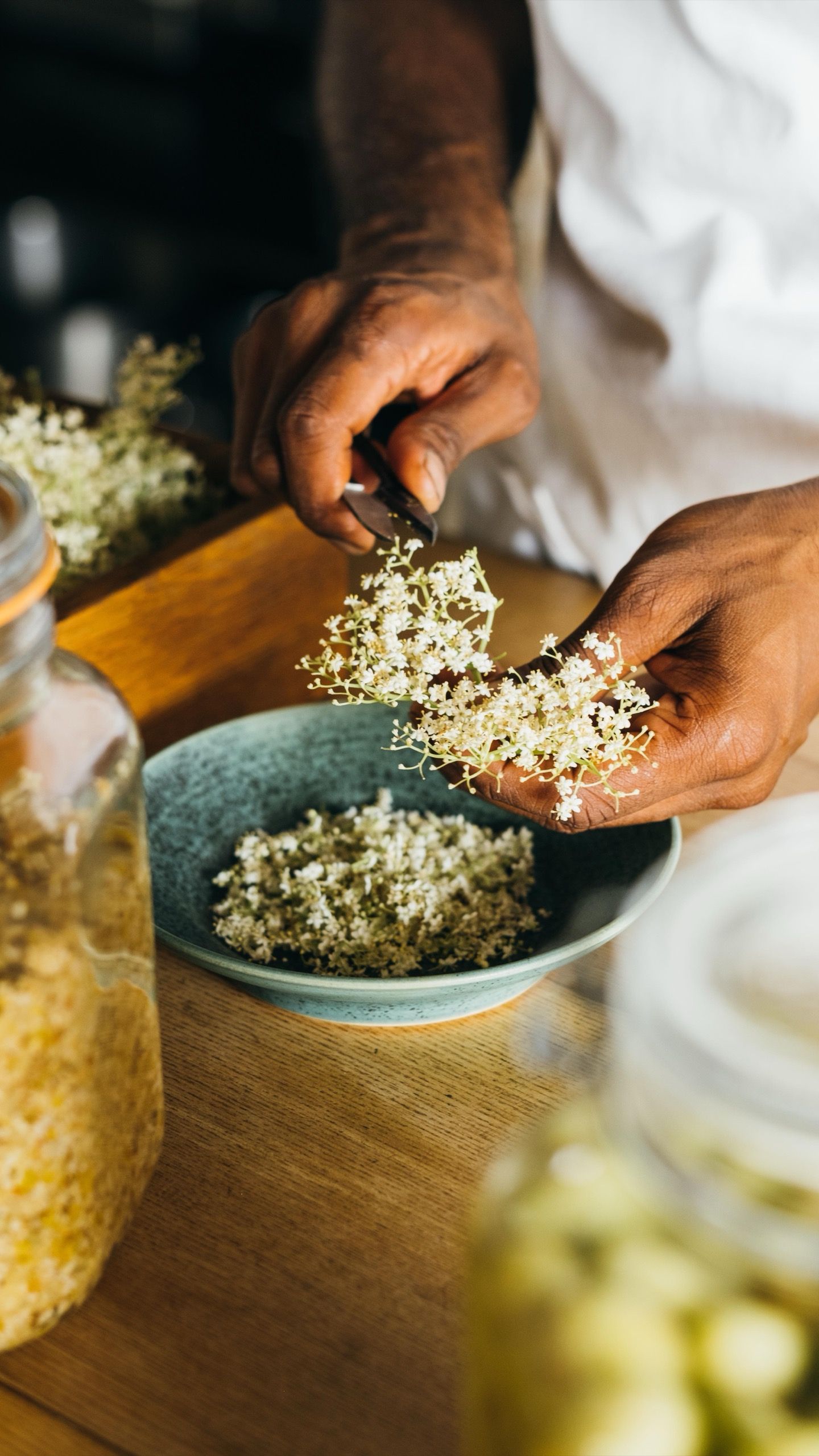 Trimming elderflower heads into a bowl beside jars of ferments
