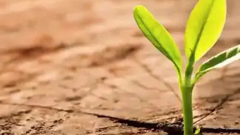 How We Can Start Acknowledging Our Blessings