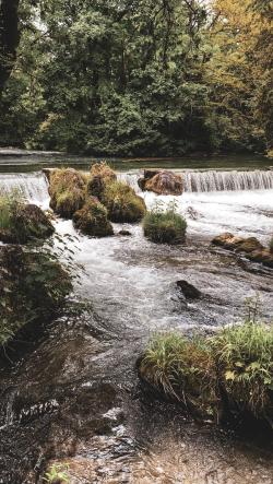 Missing alternative text