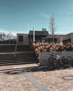 Missing alternative text