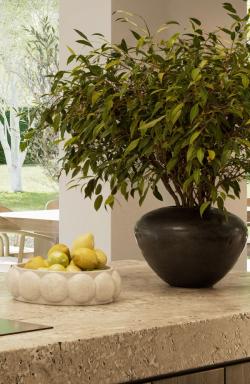 Missing alternative text