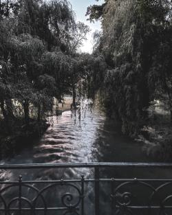 Missing alternative text