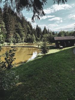 Missing alternative text