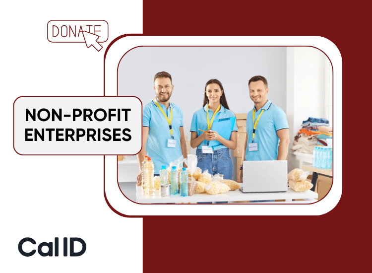 Non-Profit Enterprises