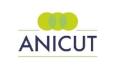 Anicut