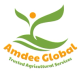 Amdee Global
